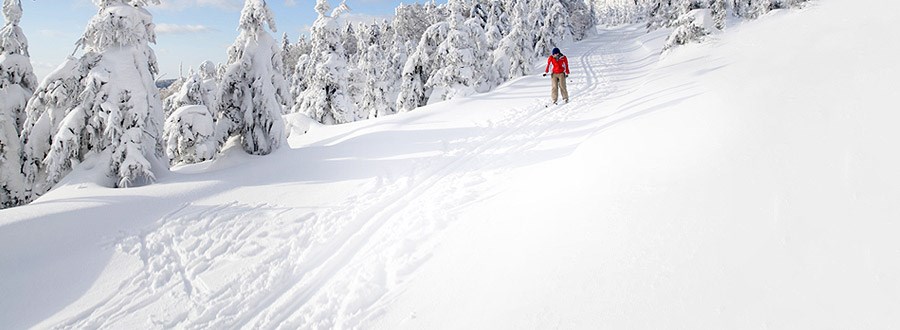 Harrachov na narty